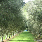 Chef-led journey through the Mornington Peninsula fourteen