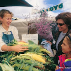 Chef-led journey through the Mornington Peninsula fifty two