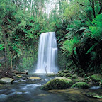 Dandenong Ranges