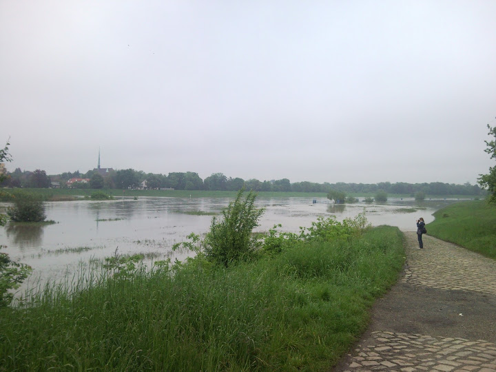 SNC00030.jpg