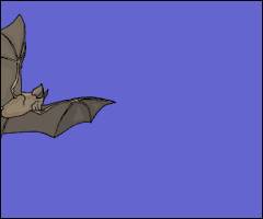 [leobat[3].gif]