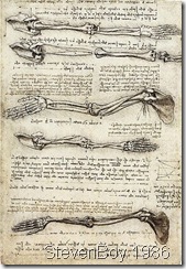 411px-Studies_of_the_Arm_showing_the_Movements_made_by_the_Biceps