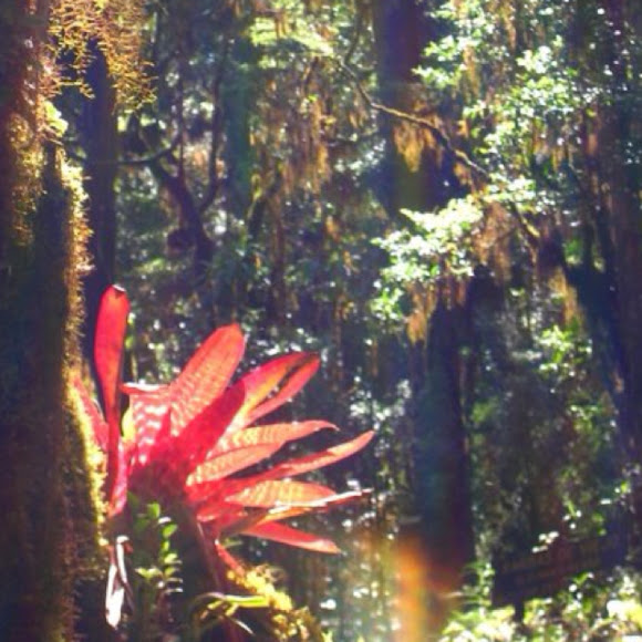 Spotting Image 1