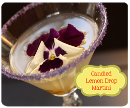 Candied Lemon Drop Martini copy