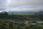 Evening at Cameron Highlands