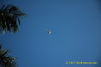 fighter jet