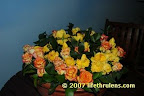 roses from australia roses from australia