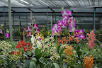 multitude of colors multitude of colors