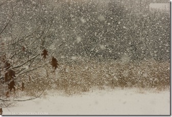 Snow!