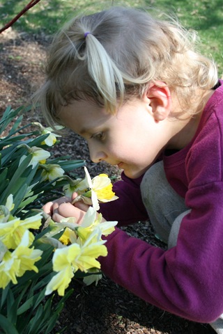 [08daff4.jpg]