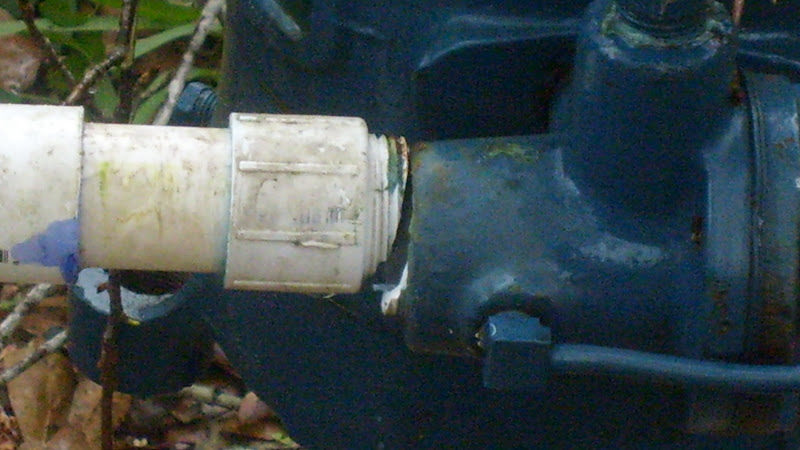 S6304534.JPG