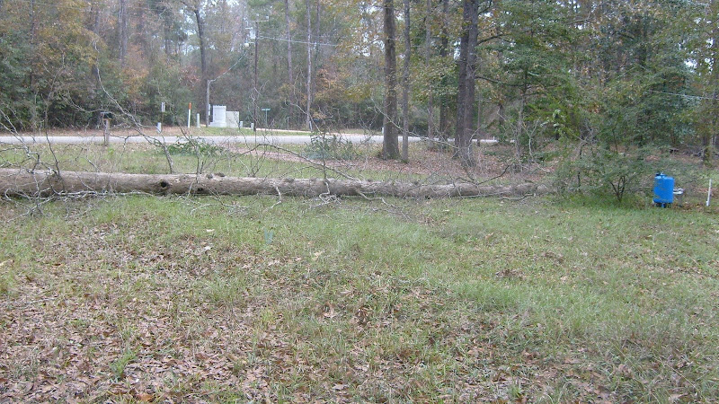 S6304544.JPG