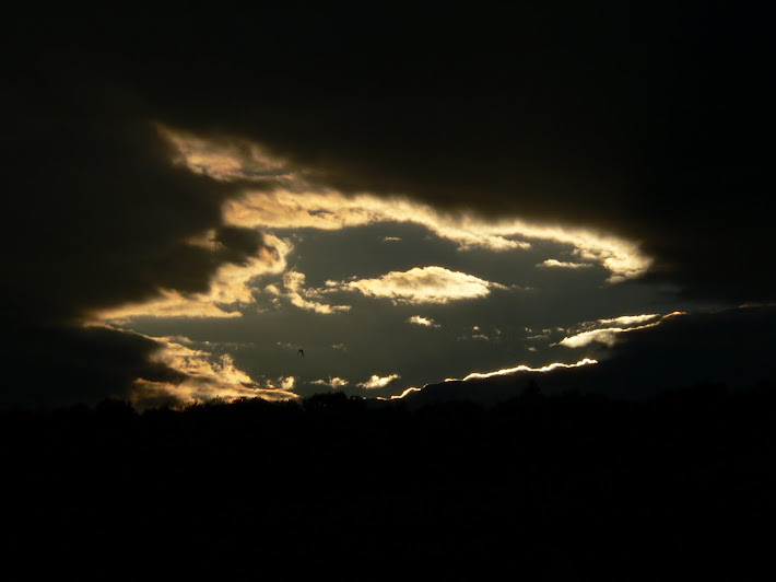 sunset dark clouds with bird