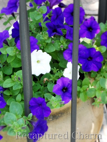 [shed tires with flowers 030a[8].jpg]