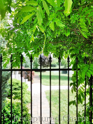 [backyardandtires006a8.jpg]