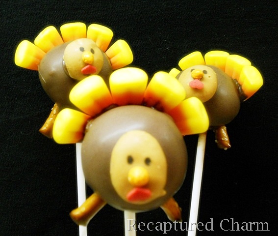[turkey pops 008a[11].jpg]