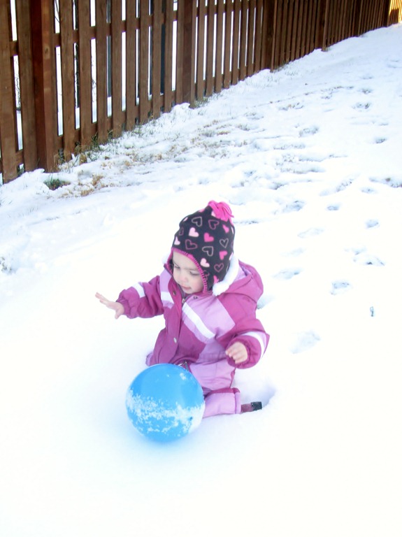 [IMG_73233.jpg]