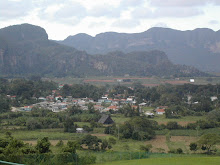 &copy; enlamochila.com
