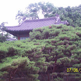 100_0378.jpg