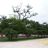 100_0396.jpg