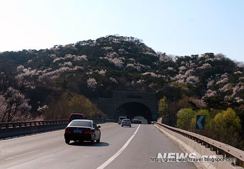 Great wall travel:great-1190002