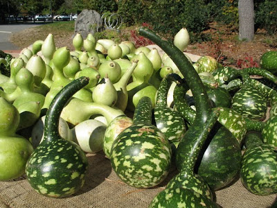 Cool gourds