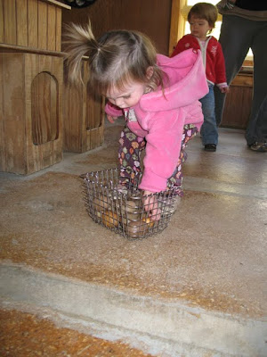 Gracie putting all of her eggs in one basket