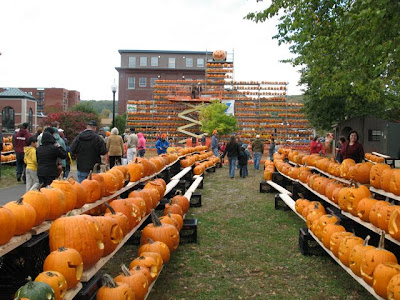 Rows and rows of pumpkins