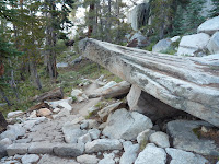 P1010003.JPG Photo