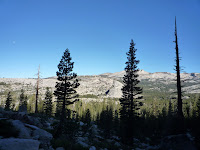 P1010002.JPG Photo