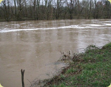 Flood1