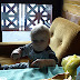 P1157963.JPG
