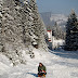 P1158006.jpg