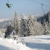 P1157983.JPG