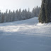 P1157984.JPG