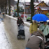 DSCN7971.JPG