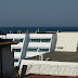P7065794.JPG