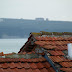 P7085885.JPG