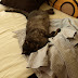 P7306055.JPG
