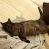 P7306056.JPG