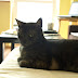 P8106119.JPG
