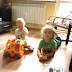 P8136175.JPG