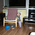PA086918.JPG