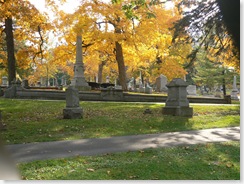 P1000237