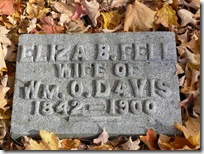 Eliza Fell