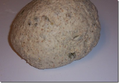 BBA-sunflower-seed-rye 016