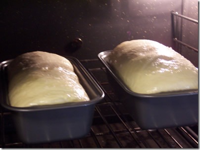 BBA-white-bread 041