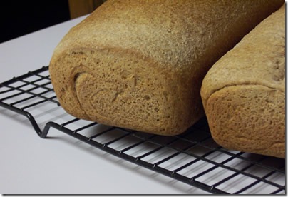 BBA-whole-wheat-bread 033