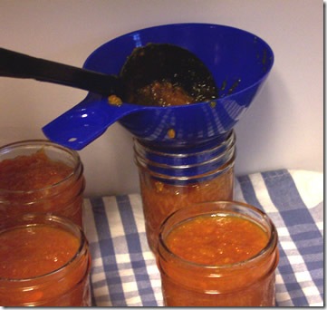 Carrot-Marmalade 009