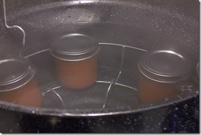 Carrot-Marmalade 012